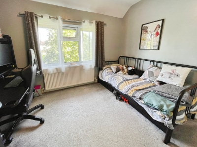 Picture 13